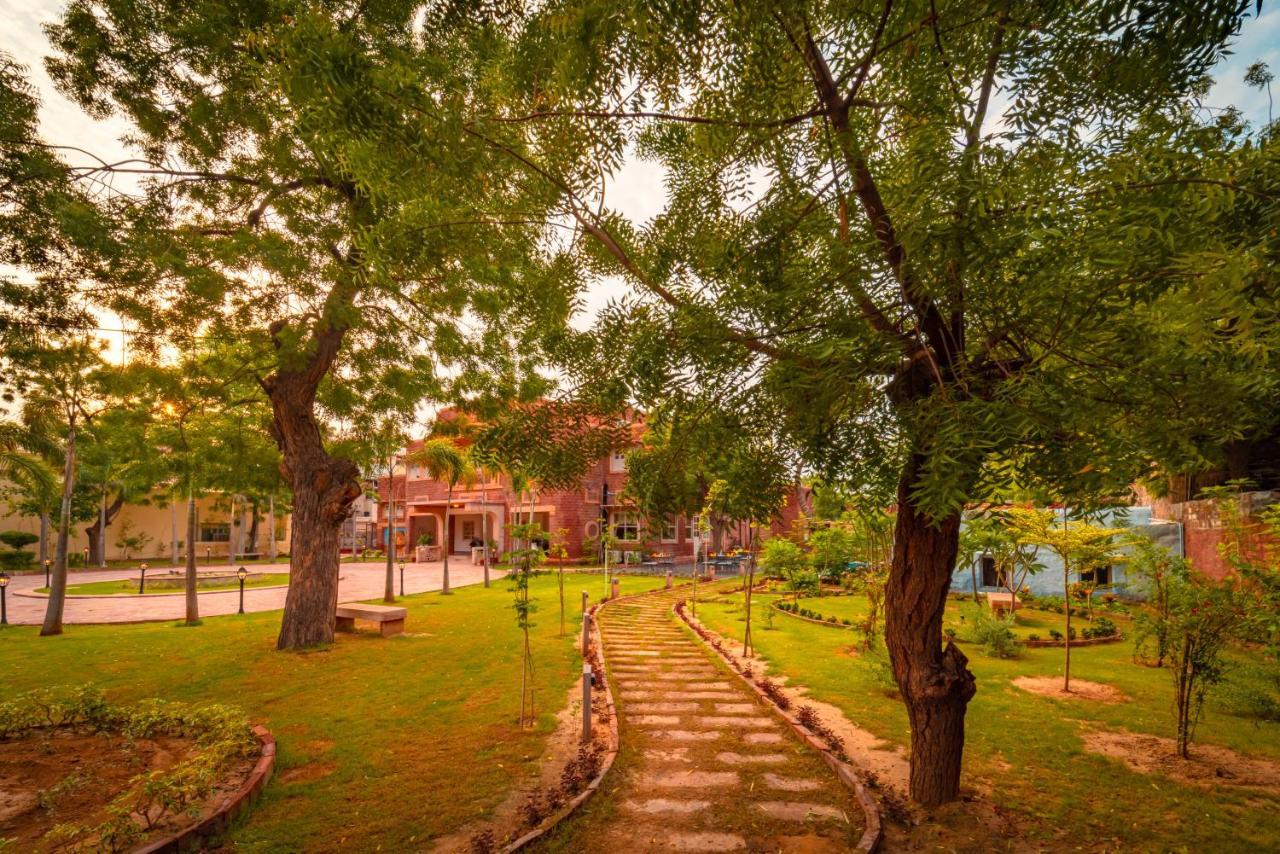 Отель Tree Of Life Bhadrajun House, Jodhpur Джодхпур Экстерьер фото